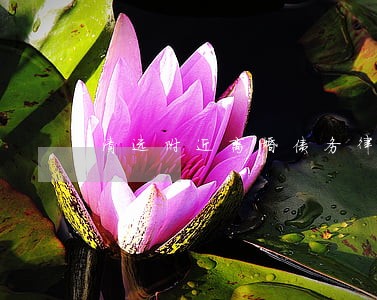 清远附近离婚债务律师收费 清远附近离婚债务律师收费