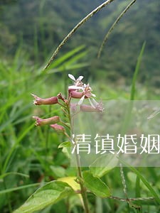 清镇婚姻家庭律师公司
