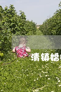 清镇婚姻纠纷律师收费 清镇婚姻纠纷律师收费