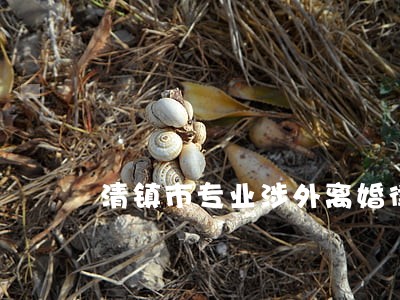 清镇市专业涉外离婚律师事务所 清镇市专业涉外离婚律师事务所