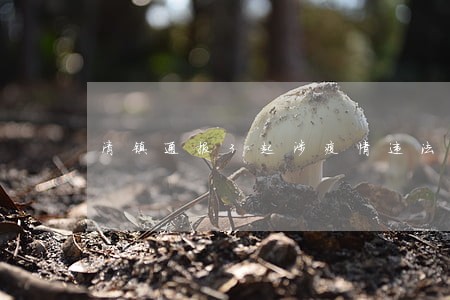 清镇通报3起涉疫情违法案件 清镇通报3起涉疫情违法案件