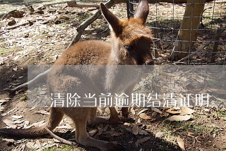 清除当前逾期结清证明 清除当前逾期结清证明