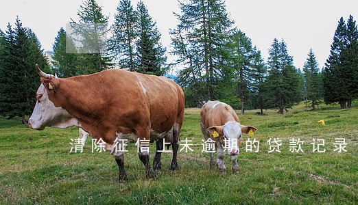 清除征信上未逾期的贷款记录 清除征信上未逾期的贷款记录