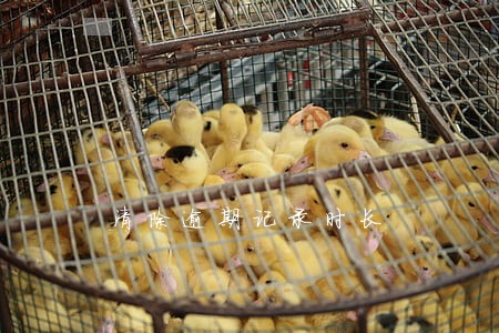 清除逾期记录时长 清除逾期记录时长