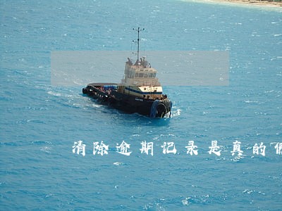 清除逾期记录是真的假的 清除逾期记录是真的假的