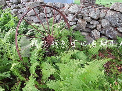 清风钱包可以逾期几天 清风钱包可以逾期几天