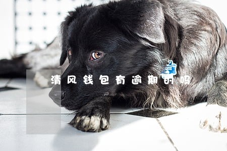 清风钱包有逾期的吗 清风钱包有逾期的吗