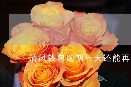 清风钱包逾期一天还能再借吗 清风钱包逾期一天还能再借吗