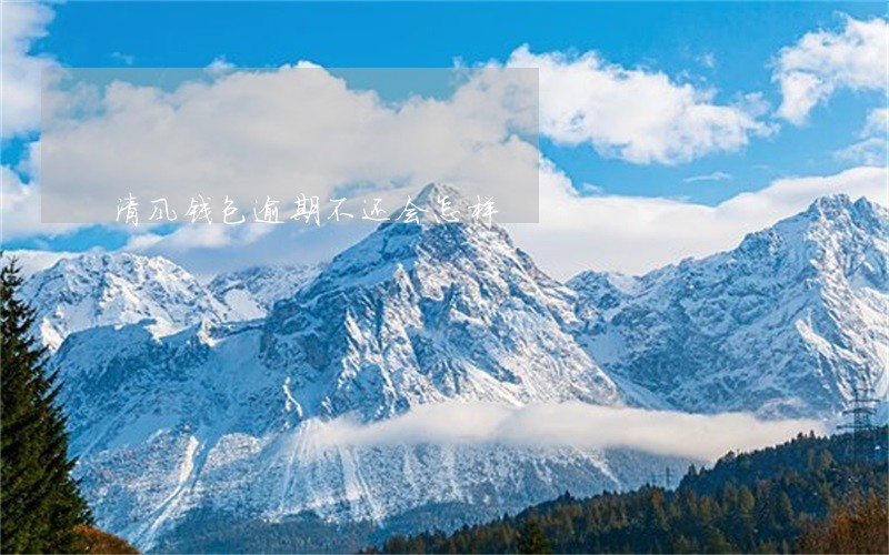 清风钱包逾期不还会怎样 清风钱包逾期不还会怎样