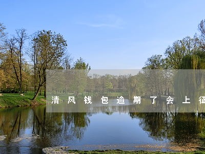清风钱包逾期了会上征信吗 清风钱包逾期了会上征信吗