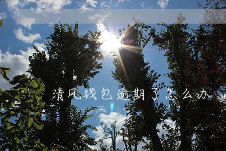 清风钱包逾期了怎么办 清风钱包逾期了怎么办