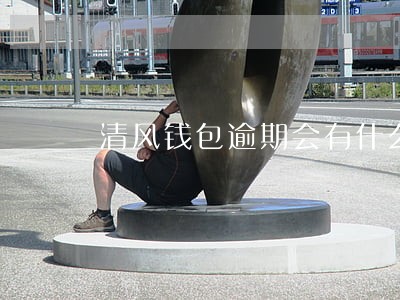 清风钱包逾期会有什么影响 清风钱包逾期会有什么影响