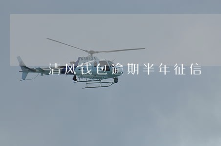 清风钱包逾期半年征信 清风钱包逾期半年征信