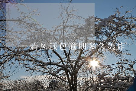 清风钱包逾期多久轰炸