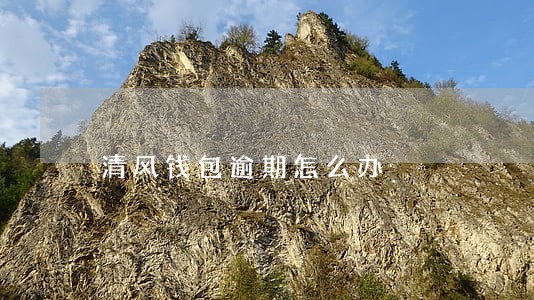 清风钱包逾期怎么办 清风钱包逾期怎么办