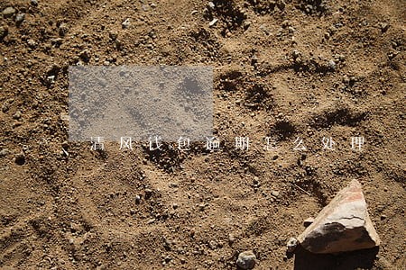 清风钱包逾期怎么处理 清风钱包逾期怎么处理