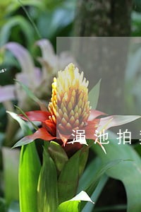 渑池拍卖房 渑池拍卖房