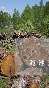 渑池法院执行法官伪造证据 渑池法院执行法官伪造证据