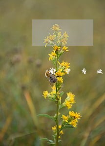 渝中专业离婚官司律师