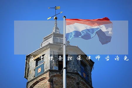 渝中债务担保律师咨询免费