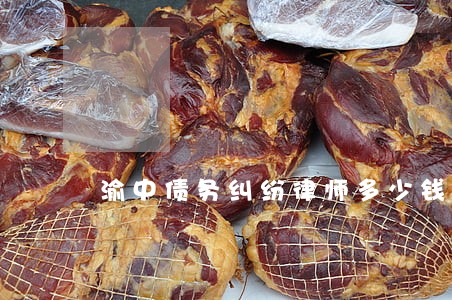 渝中债务纠纷律师多少钱 渝中债务纠纷律师多少钱