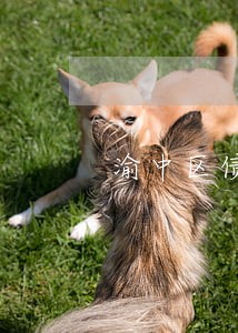 渝中区债务担保律师事务所 渝中区债务担保律师事务所