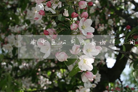 渝中区公司法务法律咨询 渝中区公司法务法律咨询