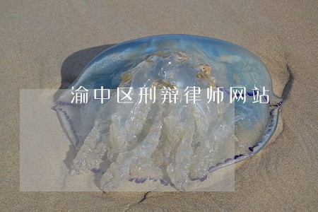 渝中区刑辩律师网站 渝中区刑辩律师网站