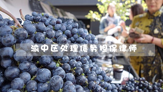渝中区处理债务担保律师