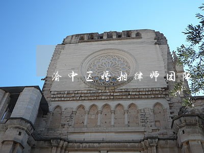 渝中区婚姻律师团队 渝中区婚姻律师团队