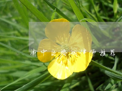 渝中区婚姻律师推荐 渝中区婚姻律师推荐
