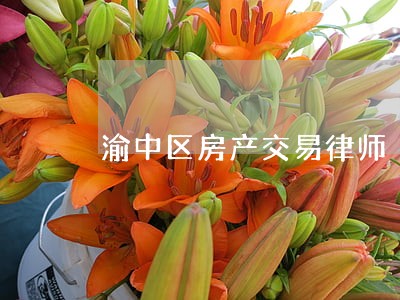 渝中区房产交易律师 渝中区房产交易律师