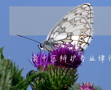 渝中区辩护专业律师咨询 渝中区辩护专业律师咨询