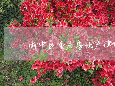渝中区重庆房地产律师 渝中区重庆房地产律师
