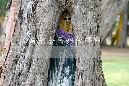 渝中合同纠纷律师 渝中合同纠纷律师