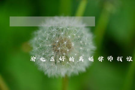 渝北区好的离婚律师找谁 渝北区好的离婚律师找谁