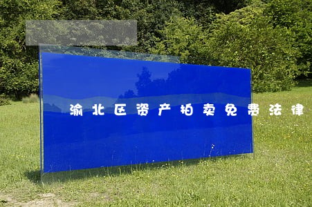 渝北区资产拍卖免费法律咨询热线 渝北区资产拍卖免费法律咨询热线