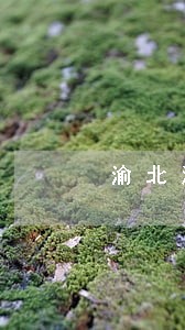 渝北法律顾问收费 渝北法律顾问收费