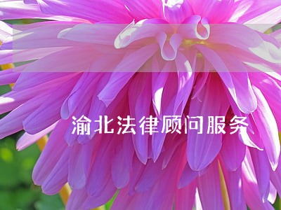 渝北法律顾问服务 渝北法律顾问服务