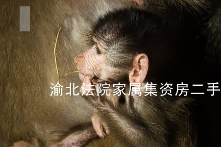 渝北法院家属集资房二手房 渝北法院家属集资房二手房