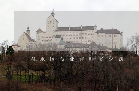 渝水区专业律师多少钱