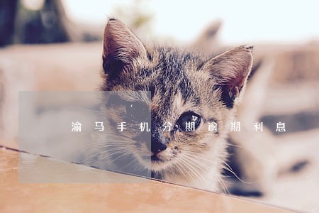 渝马手机分期逾期利息 渝马手机分期逾期利息