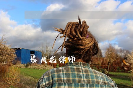 渠威龙律师 渠威龙律师