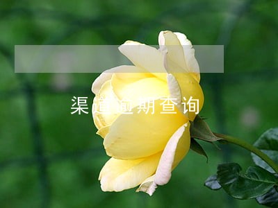渠道逾期查询 渠道逾期查询