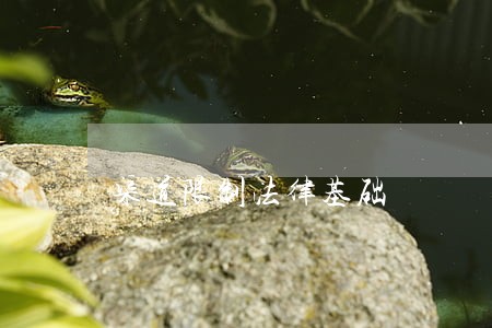 渠道限制法律基础 渠道限制法律基础