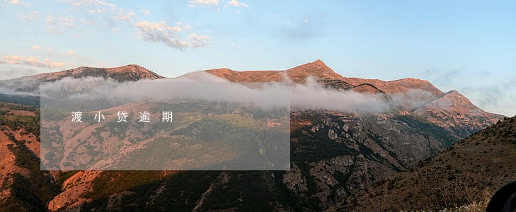 渡小贷逾期 渡小贷逾期
