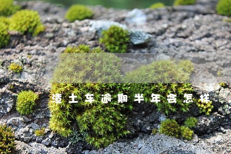 渣土车逾期半年会怎样 渣土车逾期半年会怎样