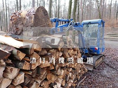渣打消费贷逾期 渣打消费贷逾期