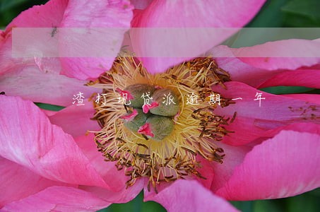 渣打现贷派逾期一年 渣打现贷派逾期一年