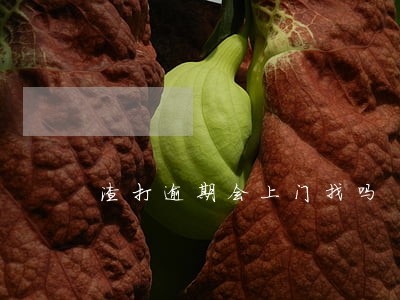 渣打逾期会上门找吗 渣打逾期会上门找吗
